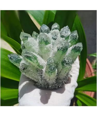 Natural Crystal Rough Stone Crafts Green Ghost Phantom Quartz Crystal Cluster Specimen (Size : 300-400g) - Buy Online on GoSupps.com