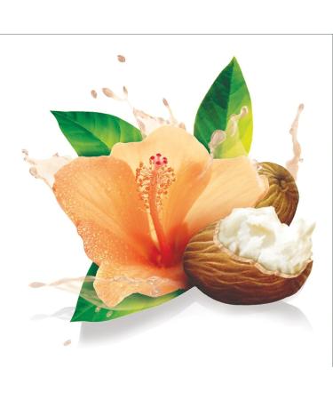 TRESemm Botanique Shampoo for curly hair Curl Hydration with Shea Butter & Hibiscus 739ml - Buy Online on GoSupps.com