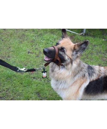 Champion Anti-Pull Training Halter for Dogs - Padded Black - Improve Control & Comfort - International Shipping Available - Buy Online on GoSupps.com