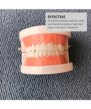 Buy Toyandona Educational Tooth Models for Kids | 3D Puzzles & Toy Sets for Brushing Teeth | Enhance Learning with Kidcraft Games - Buy Online on GoSupps.com