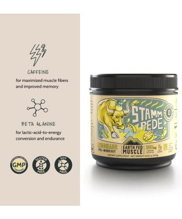 Earth Fed Muscle Stammpede Lemonade Pre Workout | Energy Boost Beta Alanine Caffeine Keto Friendly - 26 Servings - Buy Online on GoSupps.com