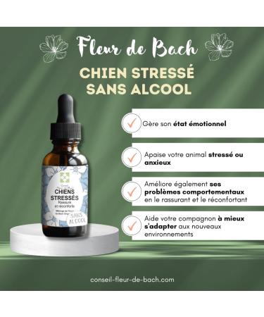 Bach Flower Advice - Bach Flower Mix "Stressed Dog" "ALCOHOL-FREE" Quickly comfort your dog. This is a natural anti-stress for his daily life - Fl 30 ml - Buy Online on GoSupps.com