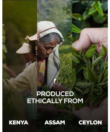 Lucky Cuppa English Breakfast Tea - Decaf Loose Leaf Tea - Perfect Tea Gifts for Tea Lovers - Premium Quality Decaf Loose Tea - 250g Bag - Buy Online on GoSupps.com