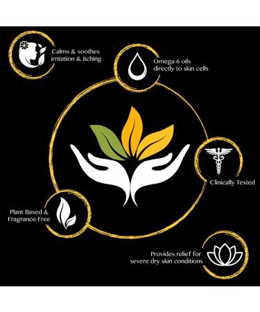 Shikai Daily Moisturizing Shower Gel with Aloe Vera & Oatmeal - 1 Gallon | Relief for Dry Skin | Soap-Free Formula | Sandalwood Scent - 8lb - Buy Online on GoSupps.com