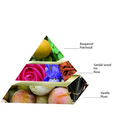 Perle D'Argent - 3.4 Oz Eau De Parfum - Fragrance Mist For Women - Chypre Floral Scent - Perfume Spray With Bergamot Iris Rose Vanilla Plum Accords - Buy Online on GoSupps.com