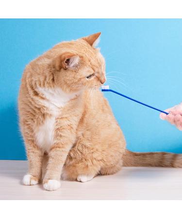4 Pack Dog & Cat Toothbrush - Best Dental Care for Small Dogs & Cats | Anti-Plaque in Black Yellow Red Blue - Buy Online on GoSupps.com