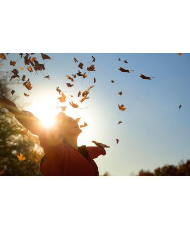 Teteseept Vitamin C 1200 + Zinc + D3 Immune Support Dietary Supplement | 5 x 30 Tablets for Cell Protection & Bone Health Buy Internationally - Buy Online on GoSupps.com