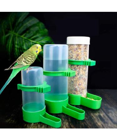 XISTEST 2PCS Automatic Bird Feeder & Water Dispenser Set for Cage - Ideal for Pet Parrots, Budgies, Lovebirds, Cockatiels - 140ml + 150ml Capacity - Buy Online on GoSupps.com