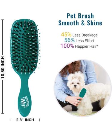 Wet Brush Pet Brush Smooth & Shine Teal - BPET833TEAL - Buy Online on GoSupps.com