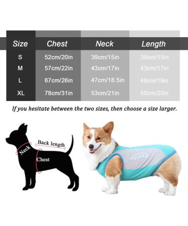 Light Dog Cooling Vest | Breathable T-Shirt with UV Protection | Reflective Dog Jacket for Small to Medium Dogs | Spring & Summer Blue - Buy Online on GoSupps.com