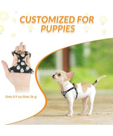 Eyein No Pull Small Dog Harness & Lead Set - Adjustable Lightweight Vest Harness for Small Dogs - Escape Proof & Easy Fit - XXS Black - Buy Online on GoSupps.com