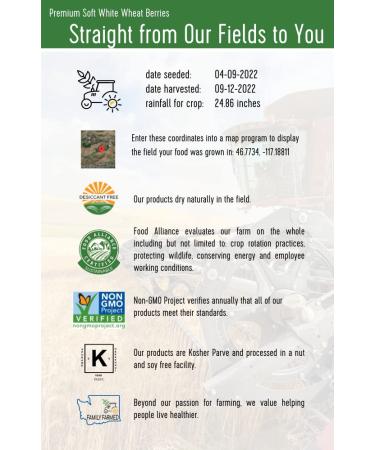 Soft White Wheat Berries 12 lbs - Non-GMO Project Verified, Kosher, USA Grown - Resealable Kraft Bag - Pack of 3 - Buy Online on GoSupps.com