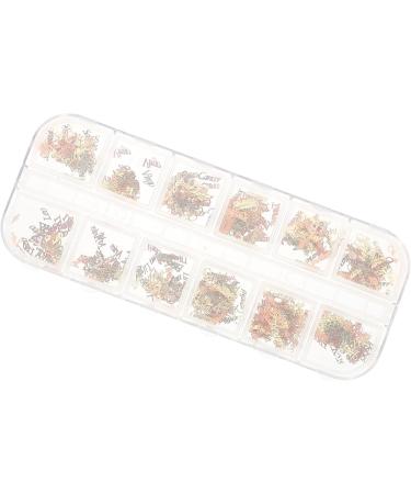 minkissy 5boxes Constellation Nail Charm Nails Designed Diy Word of Ladies Art for Decors As Decorations Twelve Constellations Shown Girls D Ornaments and Zodiac Charms Message - Buy Online on GoSupps.com