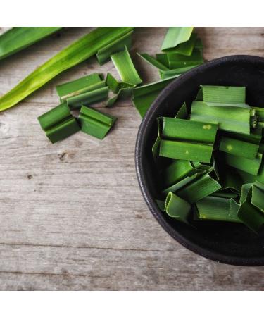 NANG FAH Pandan Leaf Extract 400 ML - Authentic Flavor & Aroma for International Shipping - Buy Online on GoSupps.com