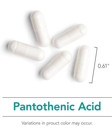 Nutricology Pantothenic Acid 90 Vegetarian Capsules - Vitamin B5 for Cellular Energy and Adrenals - Buy Online on GoSupps.com