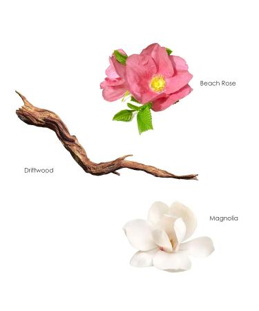 Gilchrist & Soames English Garden Shower Gel - 15.5oz with Silk Protein & Rose Petals | Gentle Cleansing, Paraben, Sulfate, and Phthalate-Free - Buy Online on GoSupps.com