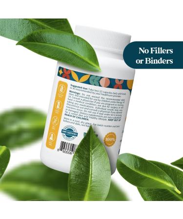 Pattern Wellness Turmeric Curcumin 95% Curcuminoids with BioPerine Black Pepper Supports Joint, Cognitive & Immune Health Non-GMO, Gluten Free 120 Capsules 60 Count (Pack of 2) - Buy Online on GoSupps.com