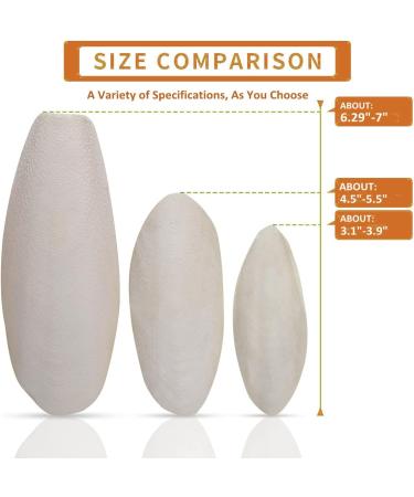 Kingmo Large Bird Cuttlebone for Parakeets - 4 Pack with Plastic Holders | Natural Calcium Source for Parrots, Cockatiels, Budgies | Supports Sharp Beak Health - Buy Online on GoSupps.com