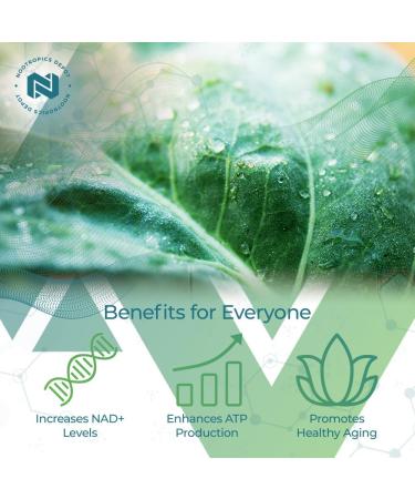 Nootropics Depot NADH + Chlorophyll 10mg Capsules | Nicotinamide Adenine Dinucleotide 20mg | Chlorella vulgaris (Broken Cell) 400mg |Energy Alertness Mental Clarity & Healthy Aging 90 Count 90 Count (Pack of 1) - Buy Online on GoSupps.com