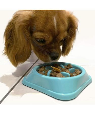iGadgitz Home U6969 - Small Dog Puppy Junior Slow Eating Dog Bowl Small Pet Slow Bowl Small Interactive Maze Feeder Kitten Puzzle Anti Choke Bowl - Buy Online on GoSupps.com