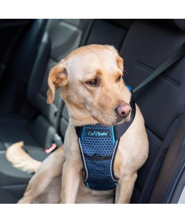 Carsafe Crash-Tested Dog Safety Dishes for Large Dogs | Secure & Comfortable | Up to 32 kg (70 lbs) - Blue - Buy Online on GoSupps.com