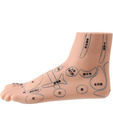 Mengmen 19 cm Foot Reflexology Model - Acupuncture Point Guide for Acupuncture Therapy | International Shipping - Buy Online on GoSupps.com