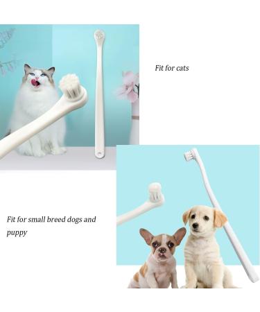Jancoo Small Dog Toothbrushes Cat Toothbrush Mini Head Soft Bristle Pet Toothbrush for Cat and Dogs under 8 Pound Dog/Cat Tooth Brush for Puppy Cats Small Breed Dogs-White+Green - Buy Online on GoSupps.com
