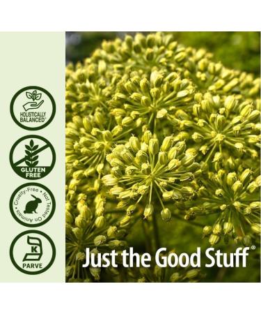 Natural's Answer Celery Seed Extract 2000 mg fluten-free low alcohol 30 ml - Buy Online on GoSupps.com