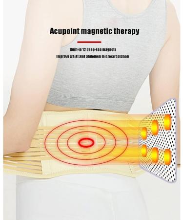 Magnetic Heat Back Support | Self-Warming Lordosis Belt for Pain Relief - XXL Size for Men & Women - Buy Online on GoSupps.com