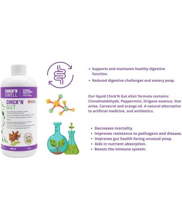 Chicken Birds and Poultry Digestive Support- 500 ml - Made in Canada - Buy Online on GoSupps.com