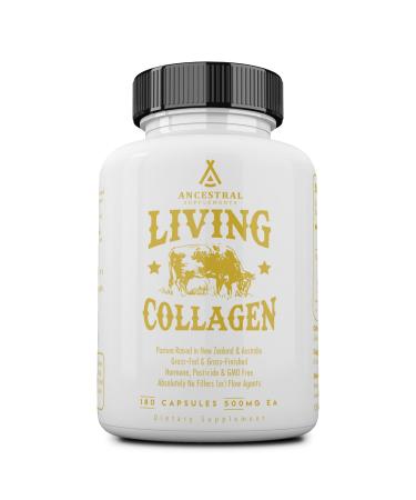 Ancestral Supplements Grass Fed Beef Living Collagen Nutritional Powder Supplement, Promotes Healthier and Younger Looking Skin, Hair, Nails and Joints, Types I,II,III,V, and X, 180 Capsules