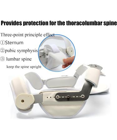 Scoliosis Orthosis Back Bracket | Adjustable Medical PE Support | Waterproof Chest Width Correction - Medium Size - Buy Online on GoSupps.com