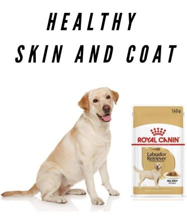 Adapted Breed Wet Labrador Retriever 10 x 140g Wet Dog Food Texture Savor For Maximum Flavor Complete Selected Nutrients For Healthy Skin Shiny Coat Strong Immunity Ideal Body Weight - Buy Online on GoSupps.com