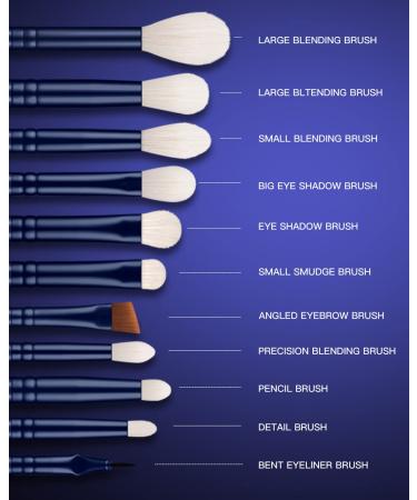 11-Piece Essential Eyeshadow Brush Set - Blue Eye Makeup Brushes for Blending Eyebrow & Eyeliner - Perfect for International Shipping - Buy Online on GoSupps.com