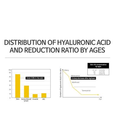 Waterfall Moist Balanced Hyaluronic Acid 100 Ampoule 20ml - Korean Skincare Rich Moisture Paraben Free Facial Hydration - Buy Online on GoSupps.com