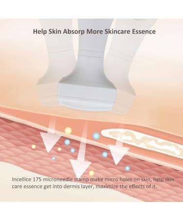 Professional Microneedling Derma Stamp for Hair Growth - 175 Pins Microneedle Dermapen for Skin Care at Home - 1.5mm - Buy Online on GoSupps.com