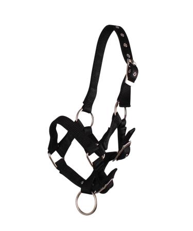 QHP foal halter foal nylon halter 4 foal sizes 6 colours (Fallabella foal black) Fallabella foal black