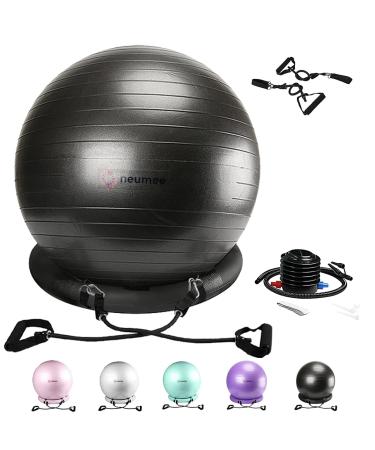 NEUMEE Exercise Ball Chair with Resistance Bands, Yoga Ball Office Chair with Stability Base for Home Gym, Workout Ball for Fitness, Large Size 65 cm Black