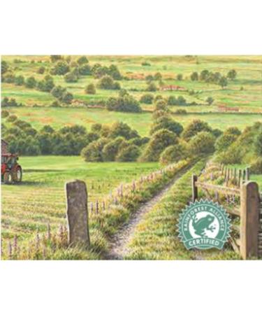Taylors of Harrogate Yorkshire Tea 656g - Premium Black Tea Blend - Buy Online on GoSupps.com
