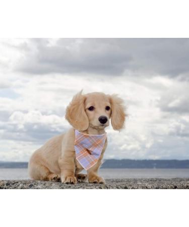 Unique Style Paws Washable Cotton Dog Towel | Adjustable Blue Plaid Latz for Small & Medium Dogs & Cats - Buy Online on GoSupps.com