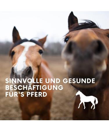 Premium Lucerne Blocks for Horses - Healthy 3kg Refill Pack | Natural Roughage Snacks & Supplementary Feed for Jumping Ropes - Buy Online on GoSupps.com
