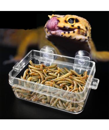 NN 1 Pcs Reptile Food Dish Reptile Anti-escape Bowls Transparent Suction Cups Reptile Feeding Pools Amphibians Feeder Bowls for Reptile Geckos Snakes - Buy Online on GoSupps.com