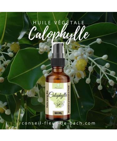  Floresse Calophyllum Vegetable Oil - Organic - 100% pure and natural - First cold pressing of Calophyllum nuts 50 ml - Buy Online on GoSupps.com