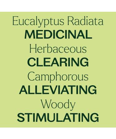 Plant Therapy Eucalyptus Radiata Essential Oil 10 mL (1/3 oz) 100% Pure Undiluted for Aromatherapy Respiratory Support & Focus 0.33 Fl Oz (Pack of 1) - Buy Online on GoSupps.com