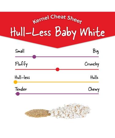 Wabash Valley Farms Hull-Less White Popcorn Kernels - 2 lb Pack - Buy Online on GoSupps.com