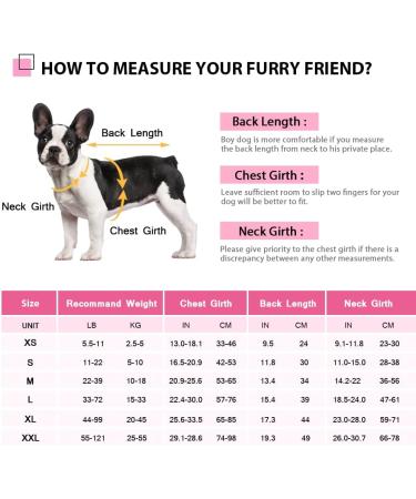 Queenmore XL Dog Life Jacket - Adjustable Ripstop Buoyancy Vest for Medium Dogs | Durable Rescue Handle - Pink Camo Shark Design - Buy Online on GoSupps.com