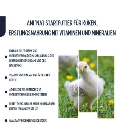 Aninat Chick Food 3.8kg | Vitamin & Protein-Rich Starter | Antibiotic-Free & Non-GMO - Ideal for Newborn Chicks - Buy Online on GoSupps.com