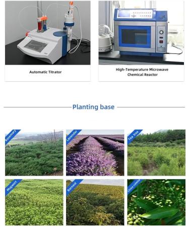 Neem Oil 100% Pure & Natural in Protective Aluminum Bottle - for Hair Growth & Scalp Care Skin Moisturizer Body Nails - Aromatherapy Diffuser & Carrier Base Oil - 4 Fl Oz (120ml) - Buy Online on GoSupps.com