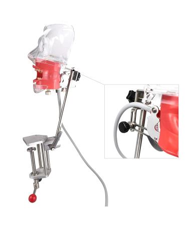 Dental Teaching Simulator Manikin Phantom Head Model Plastic Educational Teeth Model Fix on (Table Type) - Buy Online on GoSupps.com