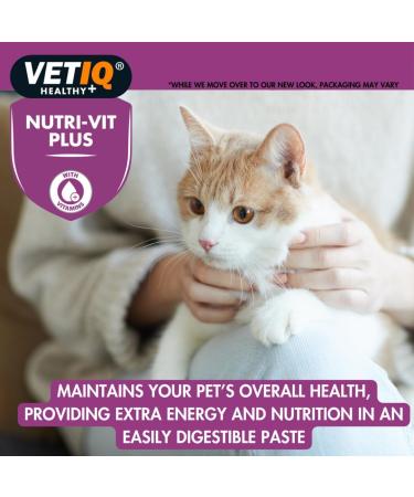 VETIQ Nutri-Vit Plus for Cats (70g) - Essential Cat Supplement for Illness Recovery and Energy Boost - Buy Online on GoSupps.com